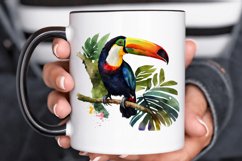 Watercolor Toucans PNG Clipart Product Image 3