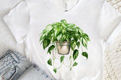 Houseplants Pot Sublimation PNG Clipart Product Image 3