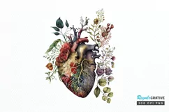 Watercolor Anatomical Floral Heart PNG Clipart Product Image 1