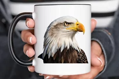 Sketch 4th of july PNG Clipart Product Image 3