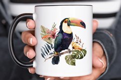 Watercolor Toucans PNG Clipart Product Image 3