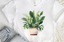 Houseplants Pot Sublimation PNG Clipart Product Image 3