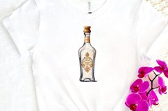 Luxury Vintage Bottle PNG Clipart Product Image 3