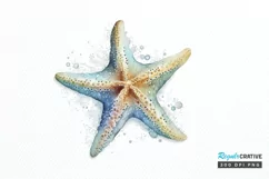 Watercolor Starfish PNG Clipart Product Image 1