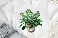 Houseplants Pot Sublimation PNG Clipart Product Image 3