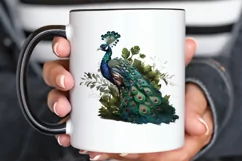 Watercolor Peacock clipart png clipart Product Image 3