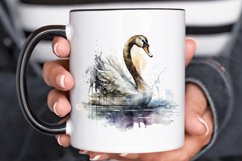 Watercolor Swan PNG Clipa Product Image 3