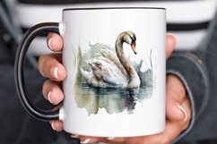 Watercolor Swan PNG Clipa Product Image 3