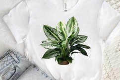 Houseplants Pot Sublimation PNG Clipart Product Image 3