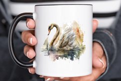 Watercolor Swan PNG Clipa Product Image 3