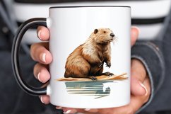 Woodland Baby Animals PNG Clipart Product Image 3