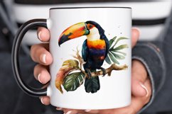 Watercolor Toucans PNG Clipart Product Image 3