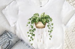 Houseplants Pot Sublimation PNG Clipart Product Image 3