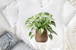 Houseplants Pot Sublimation PNG Clipart Product Image 3