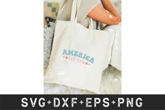 America Est 1776 Product Image 4