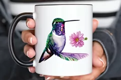 Watercolor Cute Hummingbird PNG Clipart Product Image 3