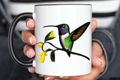 Watercolor Cute Hummingbird PNG Clipart Product Image 3