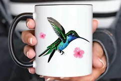 Watercolor Cute Hummingbird PNG Clipart Product Image 2