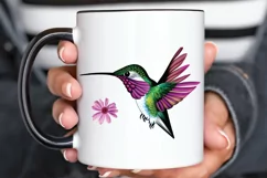 Watercolor Cute Hummingbird PNG Clipart Product Image 3