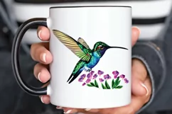 Watercolor Cute Hummingbird PNG Clipart Product Image 3