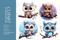 Cute baby owl sublimation clipart png Product Image 1
