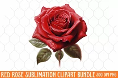 Watercolor Red Roses Clipart, Red Rose Png Clip Art Product Image 2