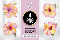 Colorful Hibiscus Flower Botanical Clipart Sublimation PNG Product Image 1