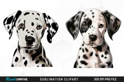 Watercolor Dalmatian Dog Puppy Exquisite Clipart Product Image 1
