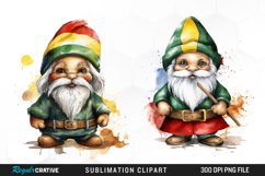 South African Flag Gnome Artwork Product Image 1