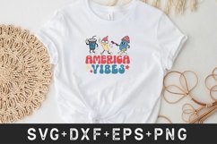 America Vibes Product Image 4