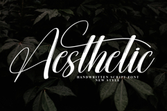 Aesthetic Product Image 1