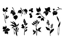 Set of botanical silhouettes, branches with leaves. Product Image 1