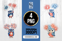 Patriotic Owl Fireworks Clipart PNG Product Image 1