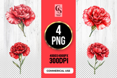Red Carnation Flower Sublimation Clipart PNG Product Image 1