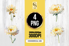Cream &amp; Yellow Watercolor Chrysanthemum PNG Product Image 1