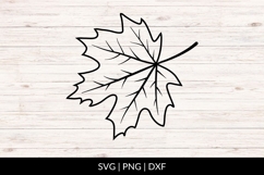 Hand Drawn Maple Leaf SVG Product Image 1