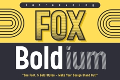 Fox Boldium: 5 Font Styles Product Image 1