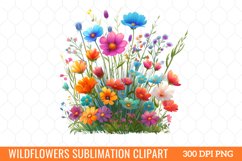 Colorful Wildflowers Sublimation Clipart Product Image 1