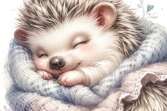 Whimsical Hedgehog Product Image 1