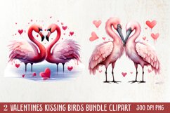 Breeds of Valentine Kissing Birds, Valentine's Day Clipart Product Image 1
