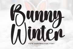 Bunny Winter Product Image 1