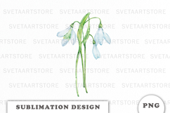 Watercolor Snowdrop Flowers Bouquet png Product Image 1