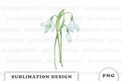 Watercolor Snowdrop Flowers Bouquet png Product Image 1