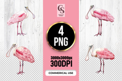 Pink Spoonbill Watercolor PNG Clipart Product Image 1