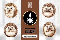 Cute Watercolor Hedgehog Clipart Sublimation PNG Product Image 1