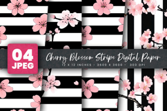 Cherry Blossom Stripe Digital Paper Product Image 1