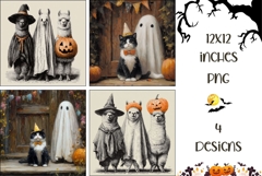 Cartoon Halloween Backgrounds, Halloween Animals PNG Product Image 1