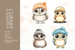 Watercolor owl clipart sublimation png Product Image 1