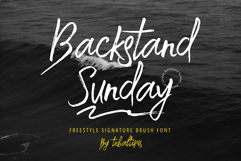 Backstand Sunday Brush Product Image 1