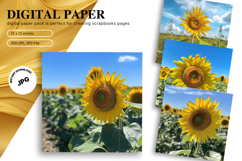 Sunflower Background Wallpaper Digital Paper Wall Art Product Image 1